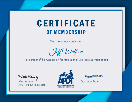Professional Dog Training International Certificate