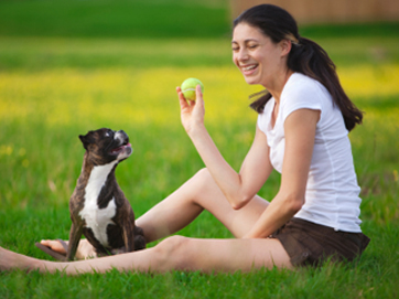 Superior Dog Training Methods