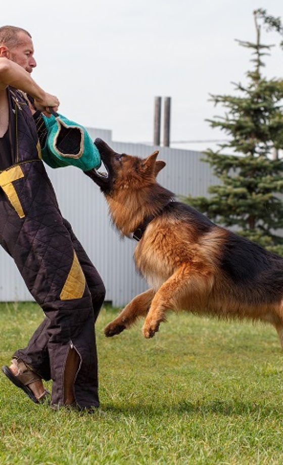 Behavior Modification Training